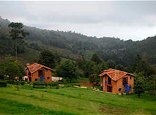 Cabañas y Suites Sergia Torres