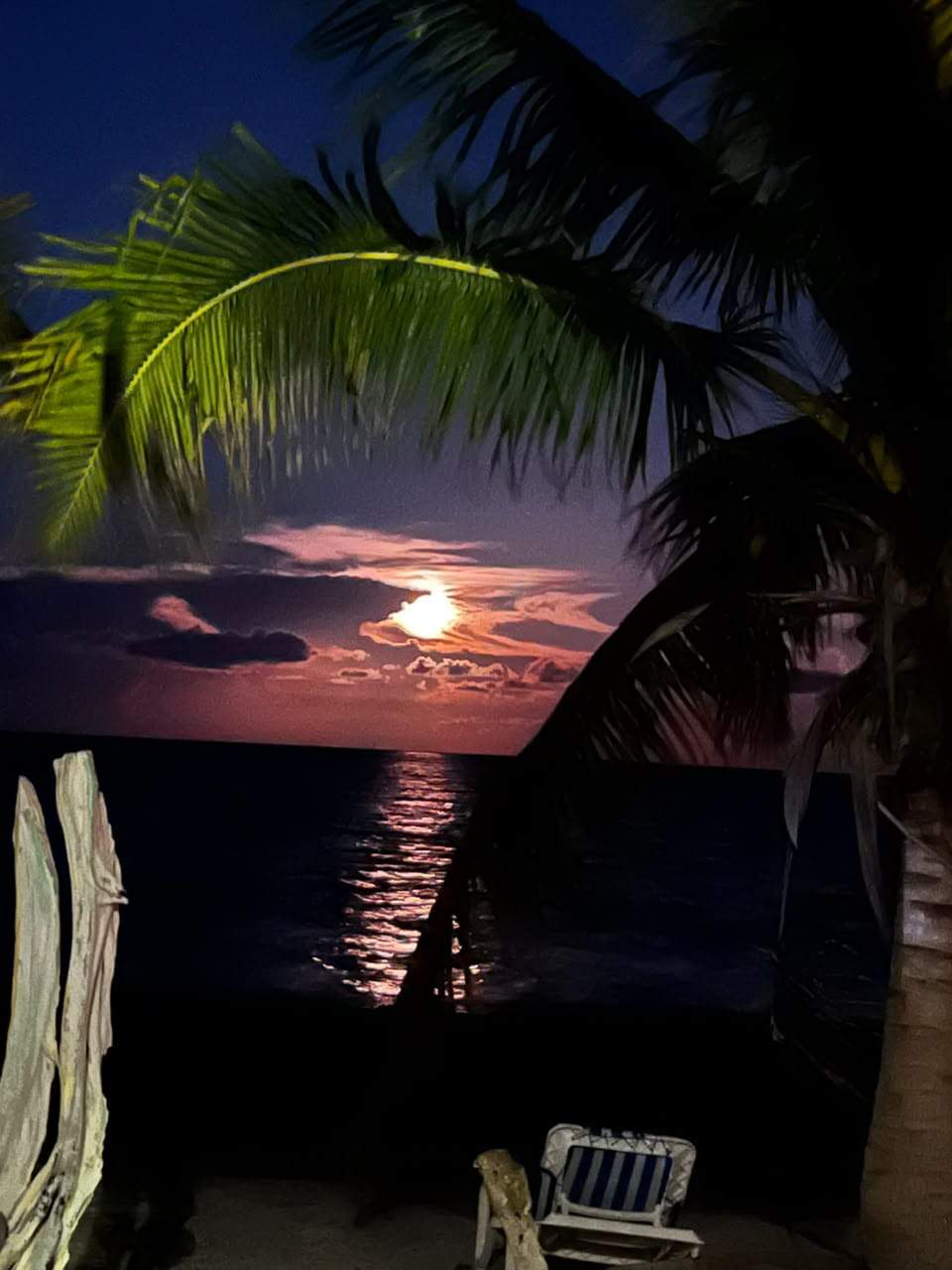 Nirvana Maya Camping